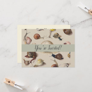 Convite Caracóis de Gastropodo de Pet de Slug de Jardim da