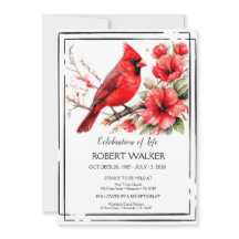 Cardeal e Hibiscus Life Tribute