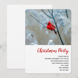 Convite Cardeal Vermelho no Natal Foto Natal