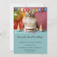 Caricatura Gatos, Festa de aniversário Puro