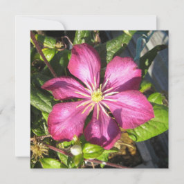 Convite Cartão-postal