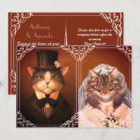 Casal de casamento de gato bonito