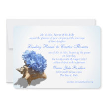 Casamento Azul Seashore Hydrangea