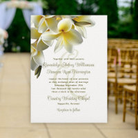 Casamento Branco das Flores Frangipani