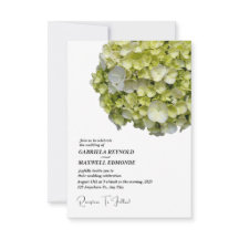 Casamento Clássico de Hydrangea Verde