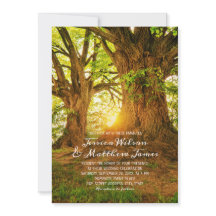 Casamento com a Terra Verde da Floresta Russa