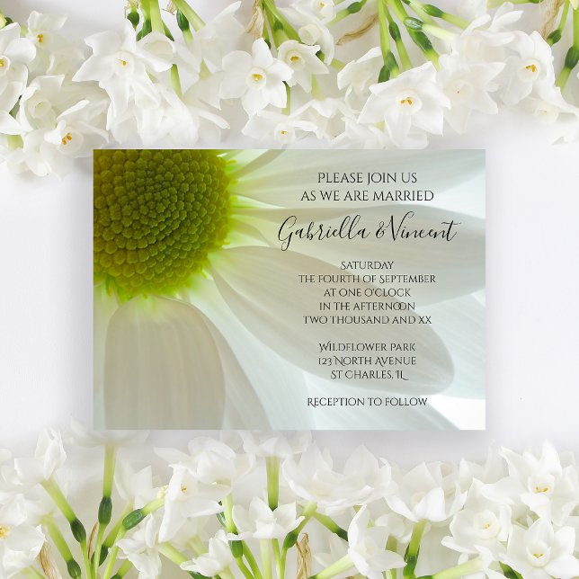 Convite Casamento com Petais de Flores Brancas (Invite guests to your summer marriage ceremony with the pretty White Daisy Petals Wedding Invitation)