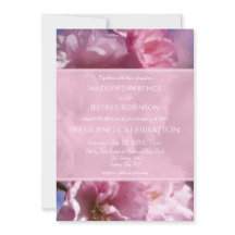 casamento da primavera floresce de cerejeira rosa