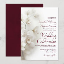 Casamento de Borgonha Elegante das Orquídeas Branc