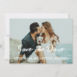 Convite Casamento de cães salve o orçamento da data
