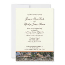 Casamento de Campo do Esquilo da Madeira