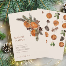 Casamento de Cinnamon de Citrus Cinnamon Secos em