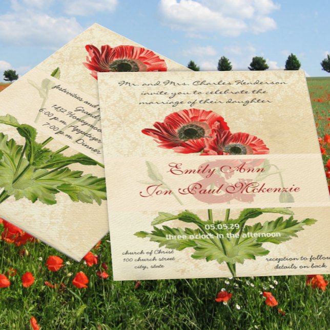 Convite Casamento de Damasco Botânico de Papoula Angustiad (Criador carregado)
