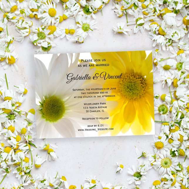 Convite Casamento de Disias Amarelas e Brancas (Invite guests to your summery marriage with the pretty Yellow and White Daisies Wedding Invitation.)