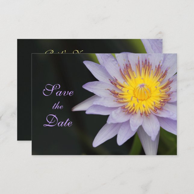 Convite Casamento de Flor de Lotus Roxo Salve a Data (Frente/Verso)