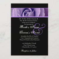 Casamento do fundo do rosa e do preto do roxo da