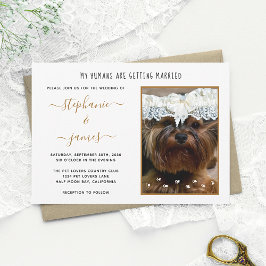 Convite Casamento dos Humanos Foto Personalizada de Pet Ca
