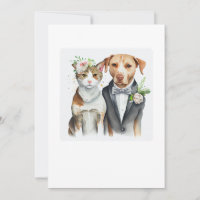 casamento engraçado sério: gato e cachorro, aquare