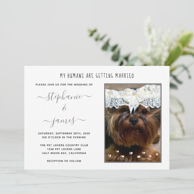 Convite Casamento Fotográfico de Amantes de Pet Casados (Em pé/Frente)