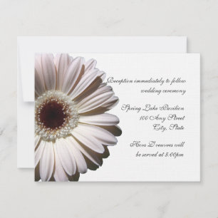 Convite Casamento Gerber Daisy