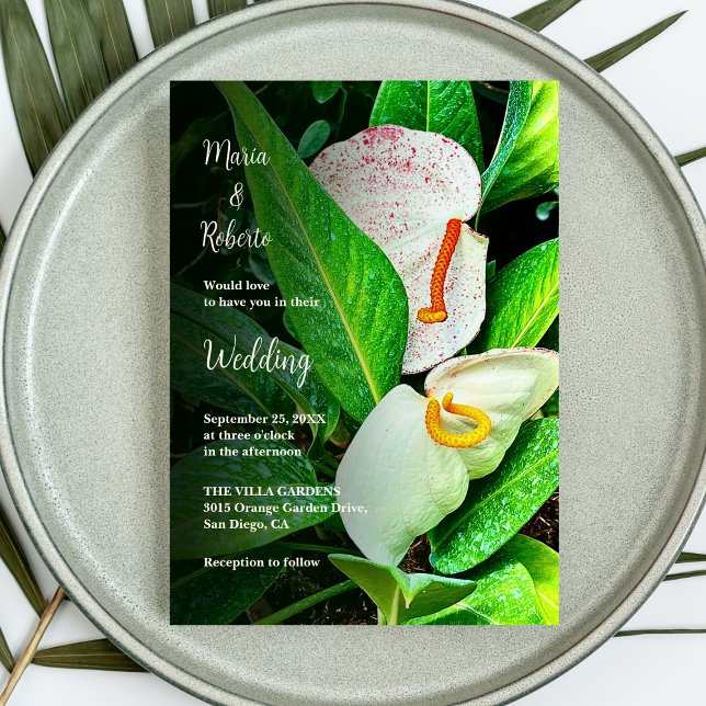 Convite Casamento Mexicano Floral White Cala Lily (Criador carregado)