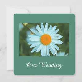 Convite Casamento puro, lindo de margarida branca