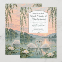Casamento Romântico de Cisnes à Beira do Lago