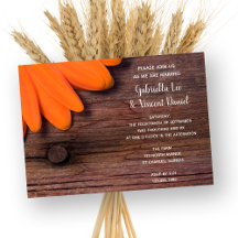 Casamento Rustic Orange Daisy and Barn Wood Countr