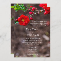 Casamento Superior de Scarlet