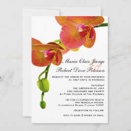 Convite Casamento Tropical Beach de Orquídeas Laranja Eleg