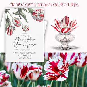 Convite Casamento   Tulipas de rembrandra vermelha e branc