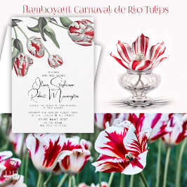 Convite Casamento | Tulipas de rembrandra vermelha e branc