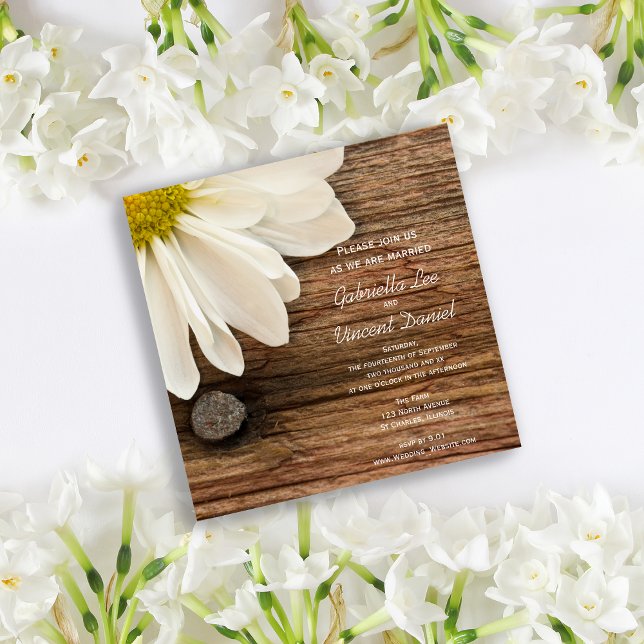 Convite Casamento White Daisy and Barn Wood Ranch (Criador carregado)