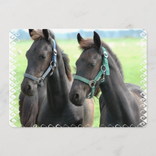 Convite Cavalo Preto