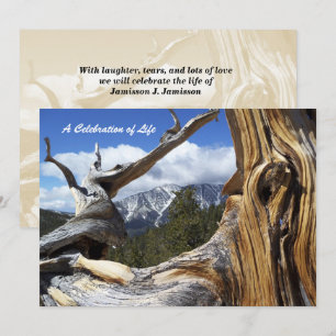 Convite Celebração da montanha nevado da vida através d