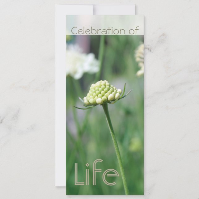 Convite Celebração da Paisagem Floral Life 2 (Frente)