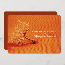 Convite Celebração da Vida, Árvore Solitária na Areia Verm