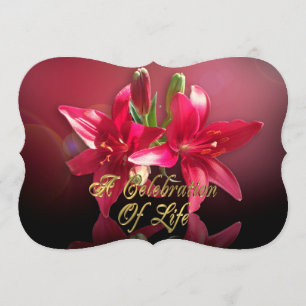 Convite Celebração da vida Convidando Lily Asiática