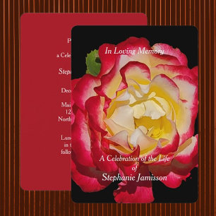 Convite Celebração da Vida Floral de Rosa Vermelha e Doura