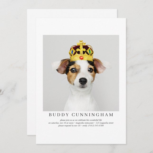 Convite Celebração da Vida Foto Simples de Pet Elegante (Frente/Verso)