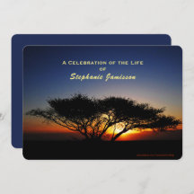 Celebração da vida, Lone Acacia Tree no nascer do 