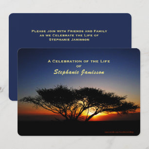 Convite Celebração da Vida, Lone Acacia Tree no Sunrise
