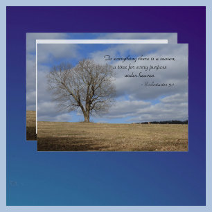 Convite Celebração da vida para tudo o que há por causa