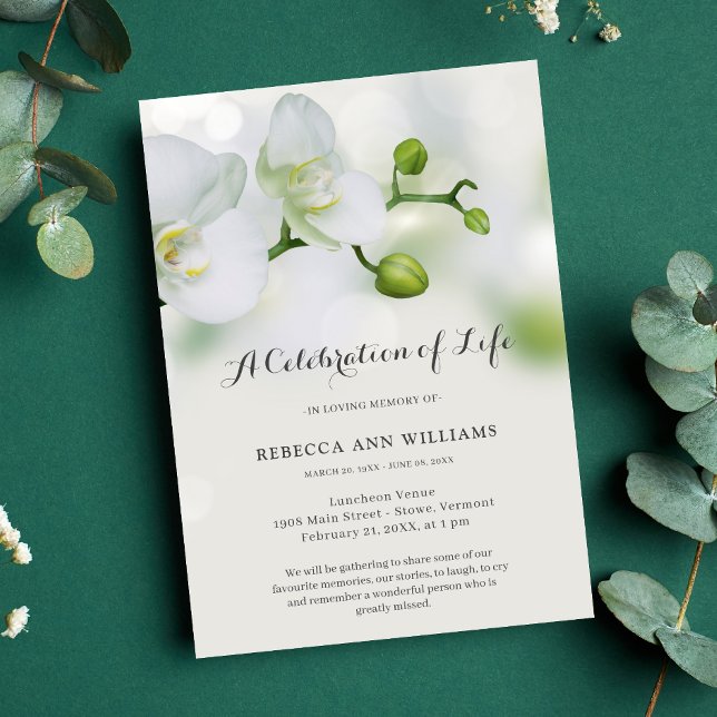 Convite Celebração do Funeral das Orquídeas Verde e Branca (Orchid Celebration of Life Invitation)