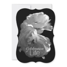 Celebração do Serviço Memorial Life 3 White Rose