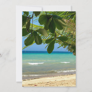 Convite Cenário de praia. Filipinas. Moalboal. praia branc