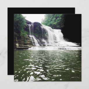 Convite centavos cai