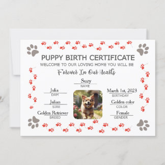 Convite Certificado de Nascimento de Puppy Personalizado