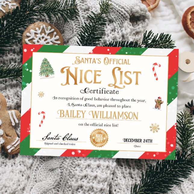 Convite Certificado Nice de Papais noeis aprovados, verifi (nice certificate official nice list Santa Claus instant download printable)