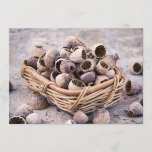 Convite Cesta de sementes de papoila secadas do vagem